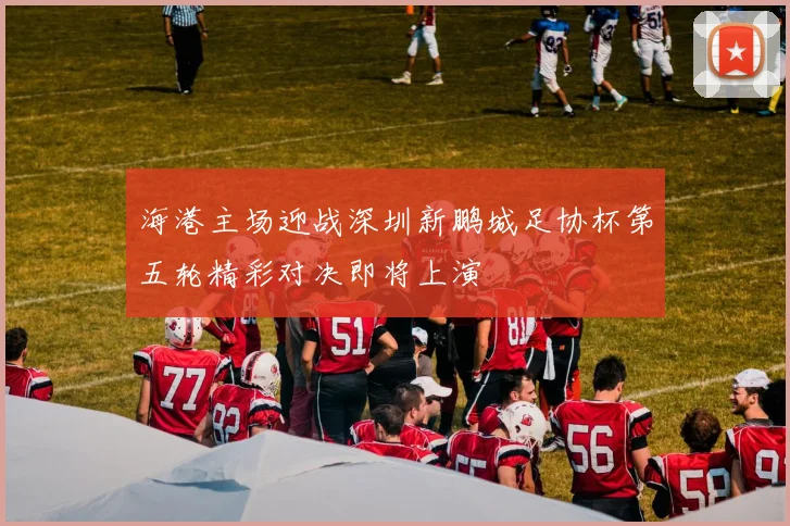 海港主场迎战深圳新鹏城足协杯第五轮精彩对决即将上演